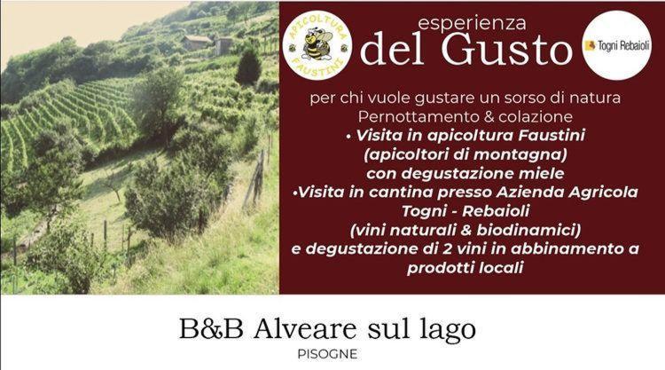 Alveare sul lago Pisogne Esterno foto