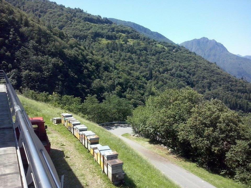 Alveare sul lago Pisogne Esterno foto